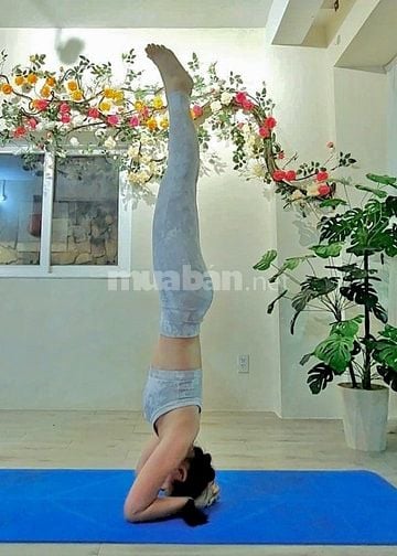 trung tâm dạy yoga bay chuyên nghiệp tại tân quy quận 7