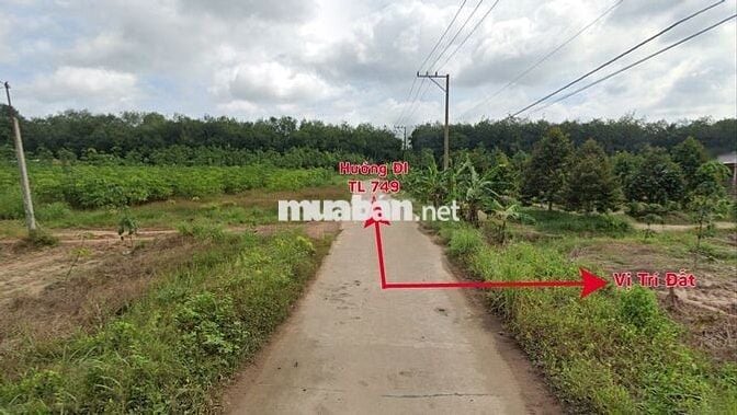 BÁN ĐẤT NGANG 30m — ĐƯỜNG SỐ 30, X. MINH LONG, CHƠN THÀNH (BÌNH PHƯỚC)