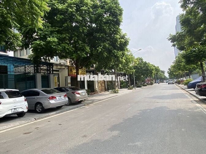 Biệt thự Dương Nội 181m2, thang máy, ngay Nam Cường Building, cực VIP