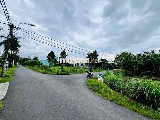 Siêu hiếm! 295,8m² đất thổ cư MT Võ Thị Du, bán gấp