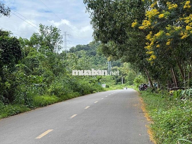 BÁN LÔ ĐẤT THỔ CƯ SỔ RIÊNG NGAY KDL NÚI CHỨA CHAN, XUÂN LỘC, ĐỒNG NAI