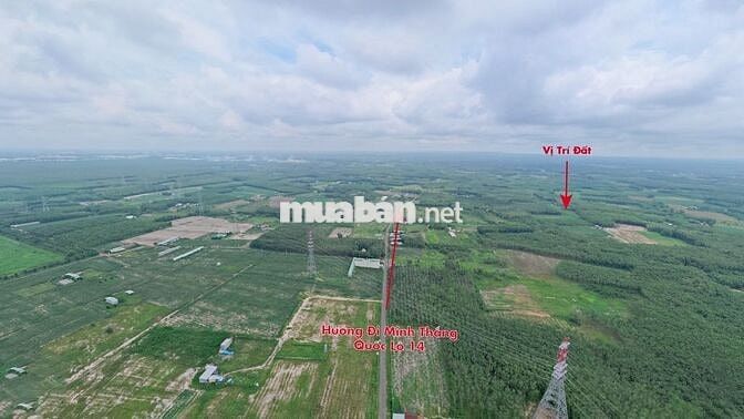 BÁN ĐẤT 200 m² THỔ CƯ + 2.000 m² VƯỜN — CHỈ 1,3 TỶ (THƯƠNG LƯỢNG)