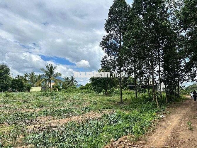 ĐẤT THỔ CƯ DÂN CỰC ĐÔNG SÁT HỒ DẦU TIẾNG