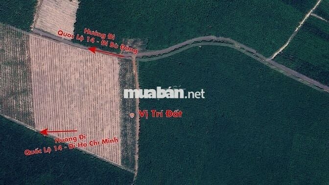 BÁN ĐẤT XÃ NHA BÍCH, CHƠN THÀNH - BÌNH PHƯỚC 209m² -370TR BAO SANG TÊN