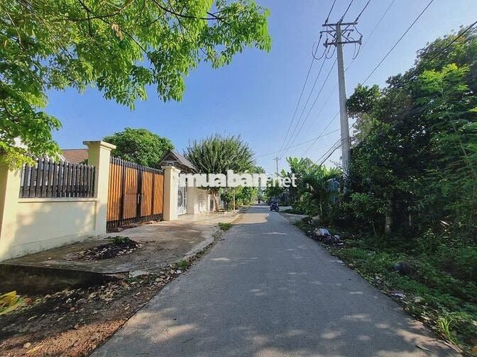 CHỦ XOAY TIỀN LẤY HÀNG, GỬI BÁN LÔ ĐẤT TƯỜNG RÀO KIÊN CỐ 261M2, SHR!