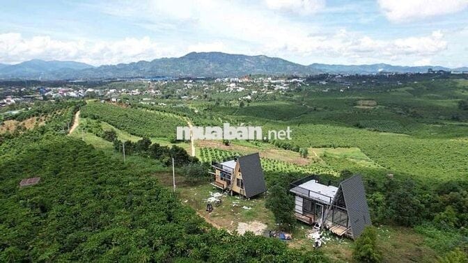 Đất chính chủ 590m2 hai mặt tiền trung tâm khu dân cư Bảo Lộc