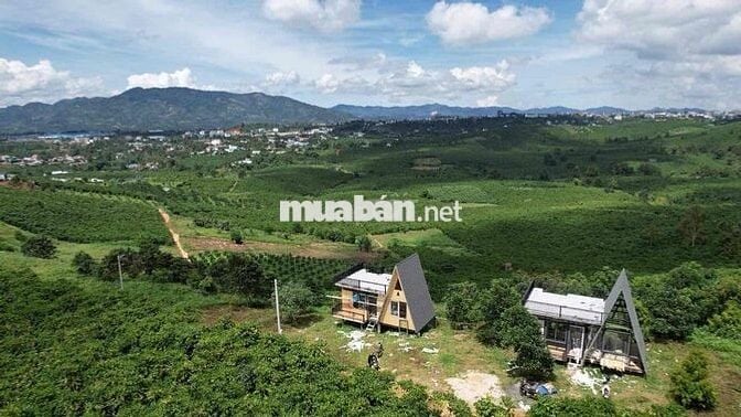 Đất chính chủ 590m2 hai mặt tiền trung tâm khu dân cư Bảo Lộc