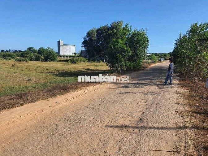 Đất Hồ Tùng Mậu, Tân Tiến, LaGi kế Dinh Thầy Thím, cách biển 1,5km