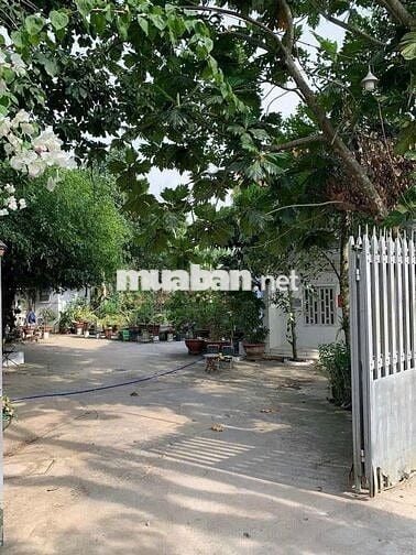 NHÀ NGHĨ NHÀ TRỌ LIDA MOTEL  TỪ 55M/2 GIÁ TỪ 2TR-3TR