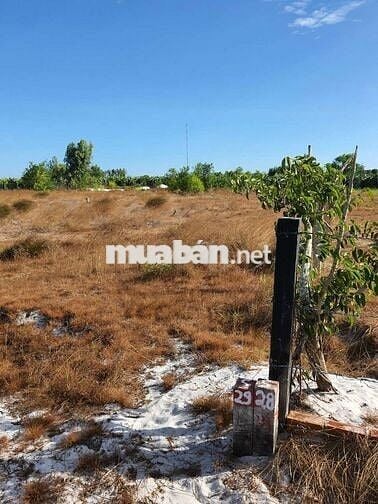 Đất Hồ Tùng Mậu, Tân Tiến, LaGi kế Dinh Thầy Thím, cách biển 1,5km