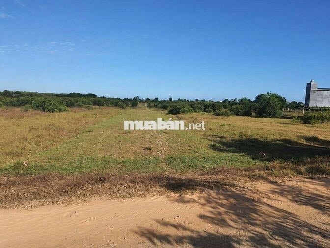 Đất Hồ Tùng Mậu, Tân Tiến, LaGi kế Dinh Thầy Thím, cách biển 1,5km