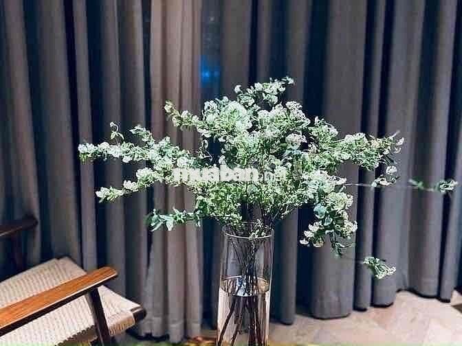 Cho thuê nhà nguyên căn khu Tân Hương quân Tân Phú 📍 Diện tích: 4x19m