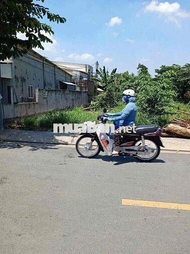 Hàng thơm ngộp đất mặt tiền nguyễn thị điệp ấp 1