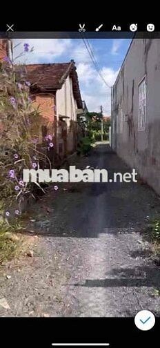 Bán đất đường bình hoà cây dương -vĩnh cửu