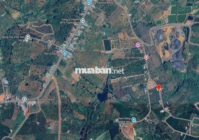 Đất thổ cư tại Đắk Nông, giá 330 triệu, diện tích 200m2
