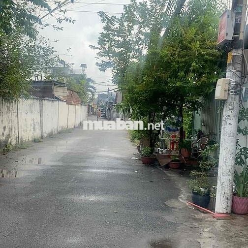 mình cần tìm 1 bạn nữ ở ghép cùng
