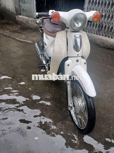 Cup Việt Thái 50cc Giấy tờ đầy đủ