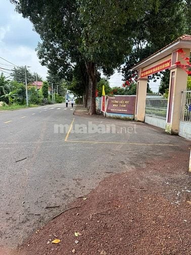 CẦN BÁN ĐẤT NGAY TRƯỜNG HỌC MINH THẮNG CHƠN THÀNH, 10X50 CÓ 100m TC