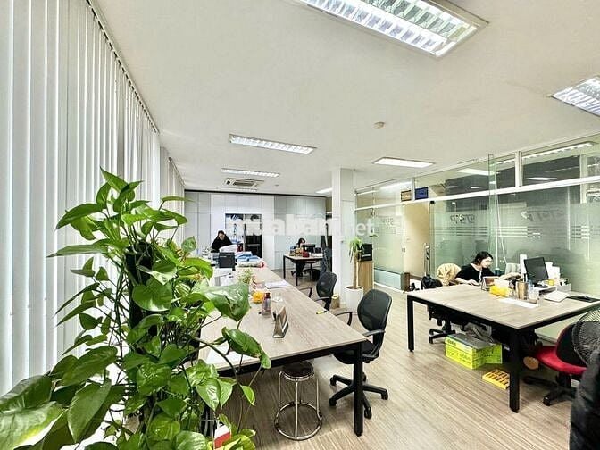 Cho thuê văn phòng Thái Thịnh 50m2 15tr FREE điện nước,dịch vụ, gủi xe