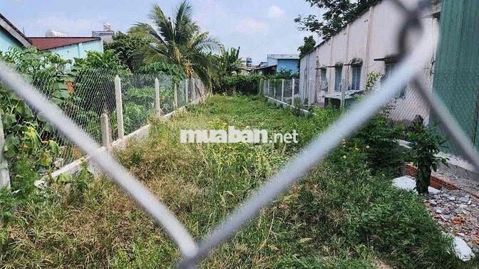 🔥 BÁN LÔ ĐẤT MẶT TIỀN ĐƯỜNG 65 – TÂN PHÚ TRUNG, CỦ CHI 🔥 GIÁ 570 TRIỆU