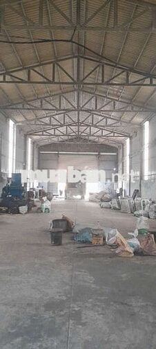 Xưởng cho thuê Đức Hòa Đông 500m có trạm điện