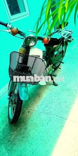 BÁN XE CUB 50 - KHÁ TỐT CHO CÁC BÉ ĐI HỌC.