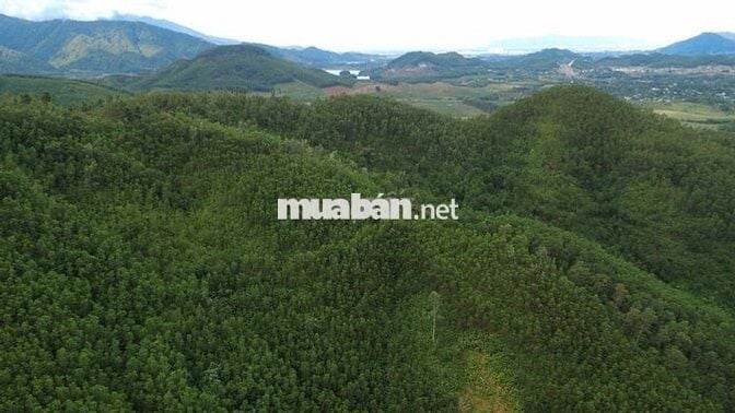 BÁN 4600M2 ĐẤT VƯỜN CÓ 300M ĐẤT Ở VỊ TRÍ ĐẸP VIÊW ĐỒI NÚI