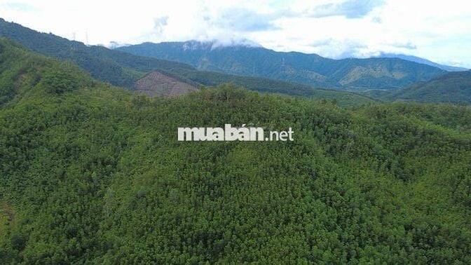 BÁN 4600M2 ĐẤT VƯỜN CÓ 300M ĐẤT Ở VỊ TRÍ ĐẸP VIÊW ĐỒI NÚI