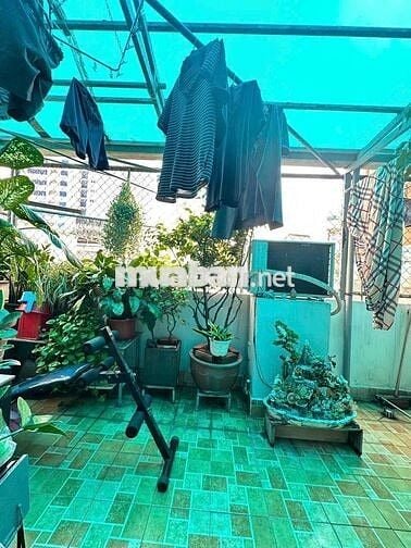 Bán nhà mới hẻm 490 thông Lý Thái Tổ P10 Q10