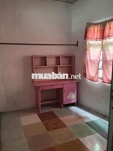 Cho Thuê Nhà Nguyên Căn Hẻm Số đỏ, Cồn Khương