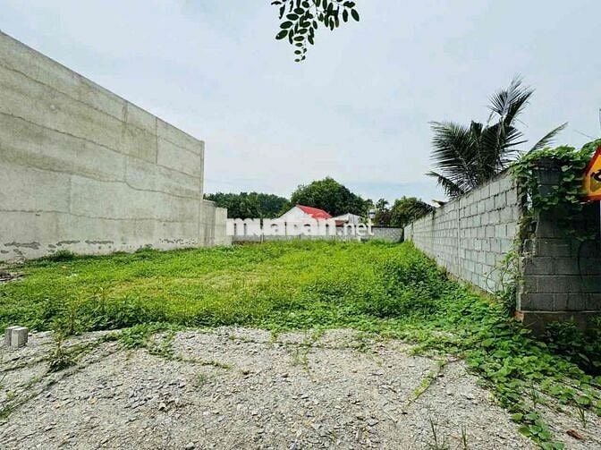 Lô đất 126m² Phước Hiệp, Củ Chi Sổ riêng, xây dựng tự do