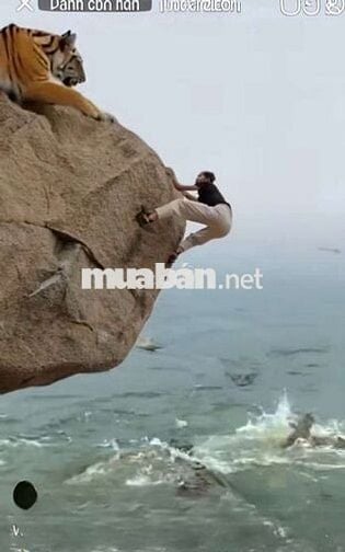 Lô góc đường 23.5m đô thị Ngân Câu Ngân Giang