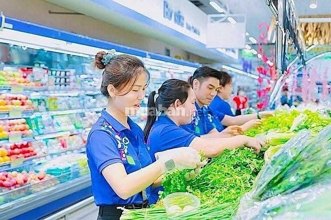 Cần Gấp 15 Nhân Viên Năm/Nữ Làm Việc Tại Khu Vực TPHCM