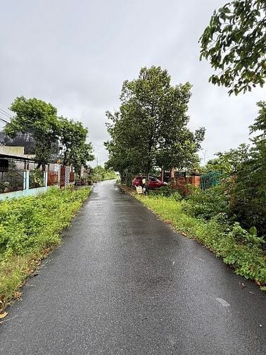 Nhà vườn đẹp chính chủ 300m2 Thổ Cư ngay Bò Tơ Hồng Đào Củ Chi Cần Bán