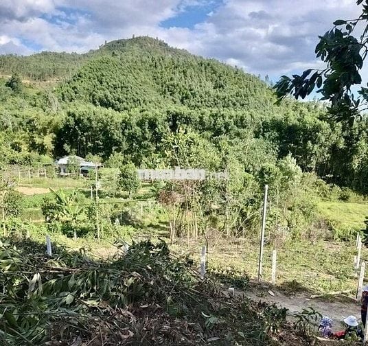 CẦN BÁN ĐẤT NHÀ VƯỜN, NGAY KHU TÁI ĐỊNH CƯ HÒA NINH, SỔ HỒNG CHÍNH CHỦ