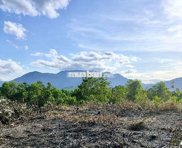 CẦN BÁN ĐẤT NHÀ VƯỜN, NGAY KHU TÁI ĐỊNH CƯ HÒA NINH, SỔ HỒNG CHÍNH CHỦ