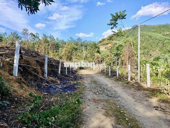 CẦN BÁN ĐẤT NHÀ VƯỜN, NGAY KHU TÁI ĐỊNH CƯ HÒA NINH, SỔ HỒNG CHÍNH CHỦ