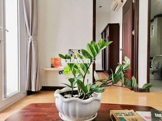 Căn Hộ Dịch vụ Studio Full Nội Thất Mặt tiền Đường Ngay Trung Tâm Q7