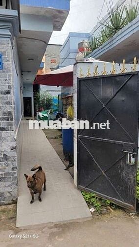 Phòng trọ q12 giành cho 3 người