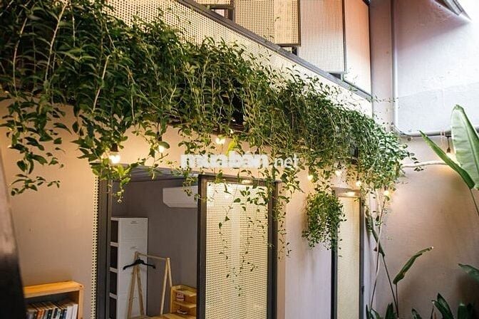 Nhà Hàng hiếm kiết 5m mỹ đa đông 12, 60m2