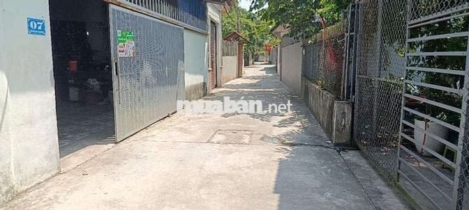 Thái Phù Mai Đình  Đất đẹp ven đô