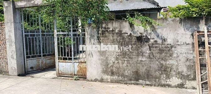Thái Phù Mai Đình  Đất đẹp ven đô