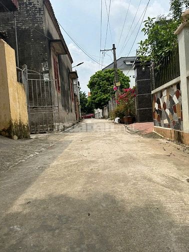 Bán 128m Kim Ngưu . Tân Tiến, Văn Giang. Đường otto. Giá 30tr/m 