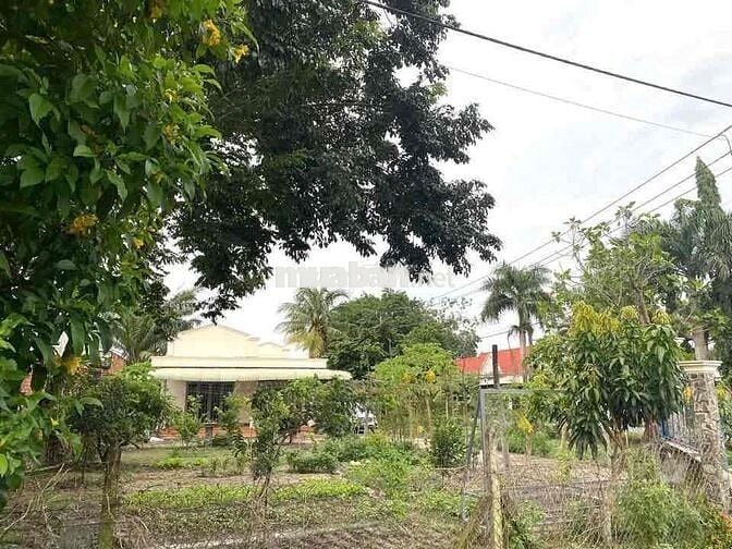 🔥Nóng 🔥 Chính chủ cần bán gấp lô đất 3000m2