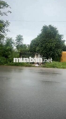 Cho thuê Kho 210m2 tại Hương Lộ 2, Trảng Bàng, Tây Ninh