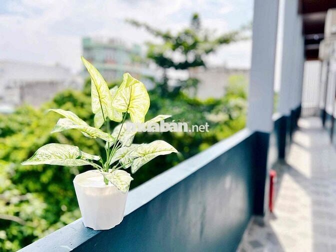 SIÊU PHẨM ĐẦU ĐỦ NỘI THẤT, Ở BÌNH THÀNH, NGUYỄN THỊ TÚ, KCN VĨNH LỘC B
