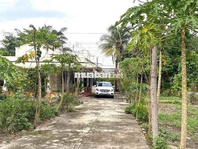 🔥Nóng 🔥 Chính chủ cần bán gấp lô đất 3000m2