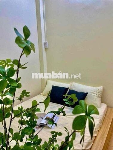 ✨Siêu phẩm Studio cửa sổ_Full NT_Free xe gần Đại học Kinh Tế