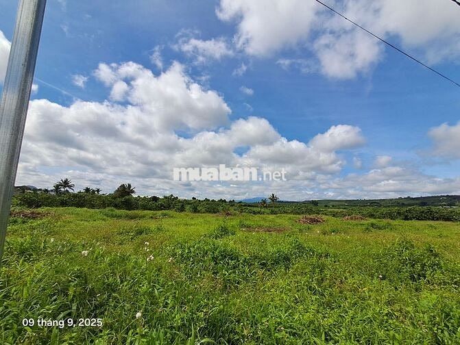 Chính chủ bán 200m² 72m thổ cư chỉ 430 triệu tại Đinh Văn Lsam Hà