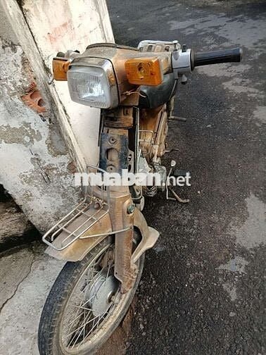 Xe cup 50 không CMND